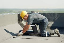 Best Steel Roofing  in Dexter, NM